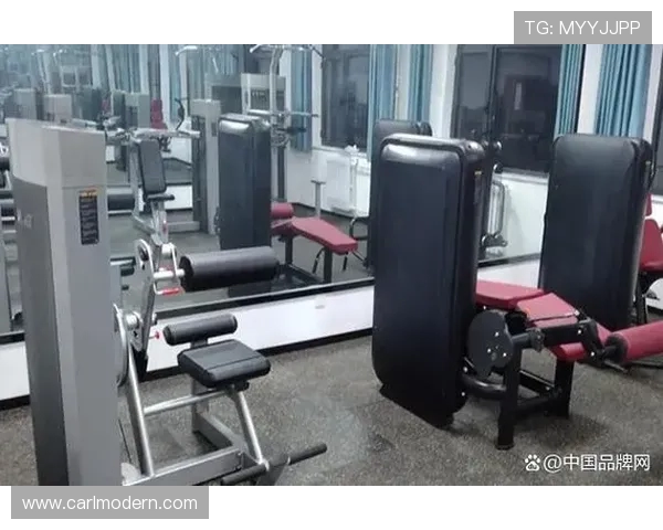 高端健身器材新纪元：奢华器械与智能科技融合的居家训练方案