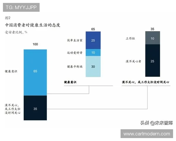 法甲球队青训投资现状及未来发展趋势深度解析