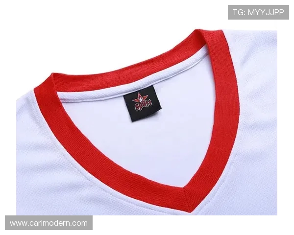 火箭队新款Nike球衣设计亮点与购买指南